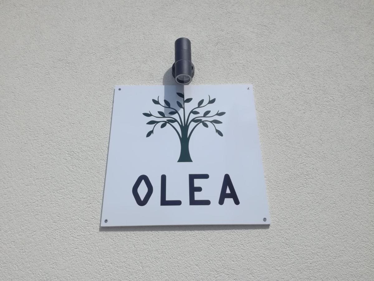 Apartmán Olea Tivat Exteriér fotografie