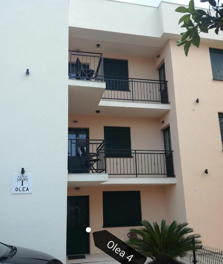 Apartmán Olea Tivat Exteriér fotografie